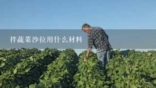 拌蔬菜沙拉用什么材料