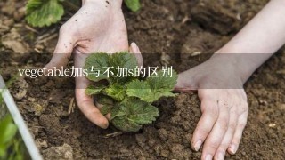 vegetable加s与不加s的区别