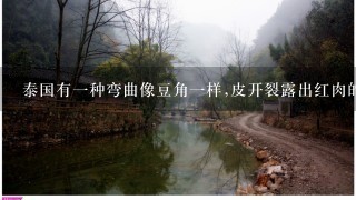 泰国有一种弯曲像豆角一样,皮开裂露出红肉的水果叫什么名字？