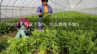 fruit什么情况下加S，什么情况不加S