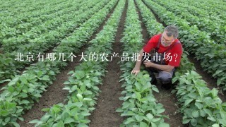 北京有哪几个大的农产品批发市场？