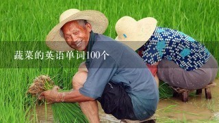 蔬菜的英语单词100个