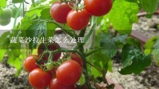 蔬菜沙拉生菜怎么处理