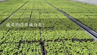 蔬菜的营养成分是？