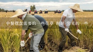 中餐摆盘需要的一些花草 谢谢 常见的一些