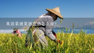 英语菜谱菜谱英语怎么说？