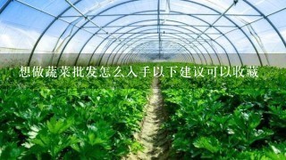 想做蔬菜批发怎么入手以下建议可以收藏