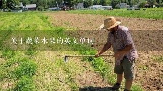 关于蔬菜水果的英文单词