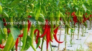 vegetable加s与不加s的区别是什么？