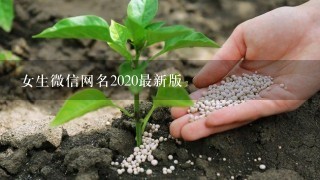 女生微信网名2020最新版