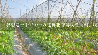 我想建一个1200平方连栋花卉薄膜温大棚。现在急寻生产骨架材料厂家。希望对方供料并来人指导安装。