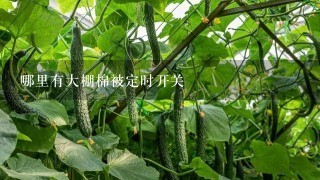 哪里有大棚棉被定时开关