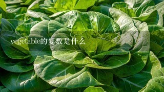 vegetable的复数是什么