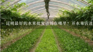 昆明最好的水果批发市场在哪里？开水果店进货要有哪