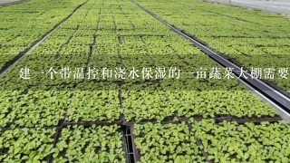 建一个带温控和浇水保湿的一亩蔬菜大棚需要多少钱