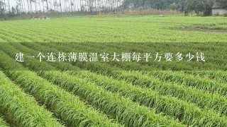 建一个连栋薄膜温室大棚每平方要多少钱