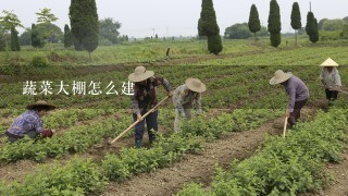 蔬菜大棚怎么建