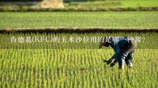 肯德基(KFC)的玉米沙拉用的是哪一种酱?