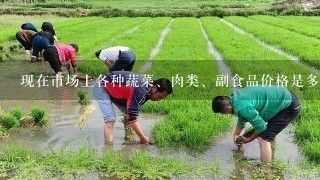 现在市场上各种蔬菜、肉类、副食品价格是多少？