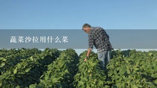 蔬菜沙拉用什么菜