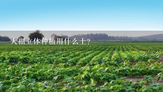 大棚立体种植用什么土？