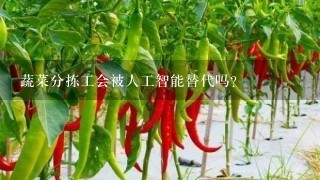 蔬菜分拣工会被人工智能替代吗？