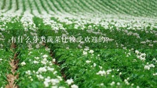 有什么芽类蔬菜比较受欢迎的？