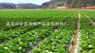 蔬菜沙拉需要哪些蔬菜和材料？