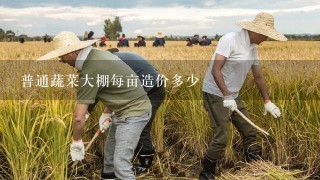 普通蔬菜大棚每亩造价多少