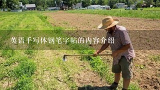 英语手写体钢笔字帖的内容介绍