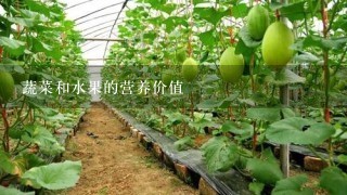 蔬菜和水果的营养价值