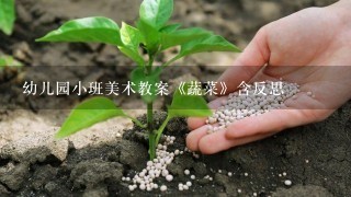 幼儿园小班美术教案《蔬菜》含反思