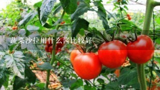 蔬菜沙拉用什么酱比较好