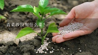 青菜沙拉用什么菜？