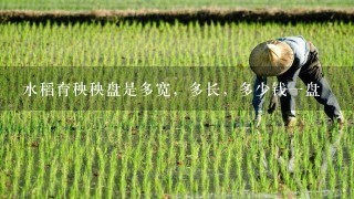 水稻育秧秧盘是多宽，多长，多少钱一盘