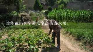 谁能说出10个带瓜字蔬菜或水果？