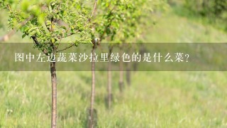 图中左边蔬菜沙拉里绿色的是什么菜？