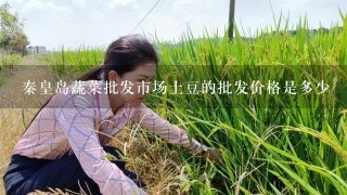 秦皇岛蔬菜批发市场土豆的批发价格是多少