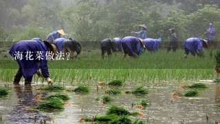 海花菜做法？