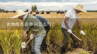 食物的英语单词怎么写？