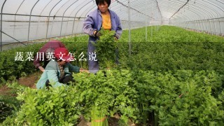 蔬菜用英文怎么说