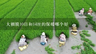 大棚膜10日和14丝的保暖哪个好