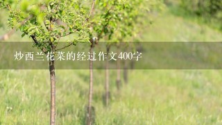 炒西兰花菜的经过作文400字