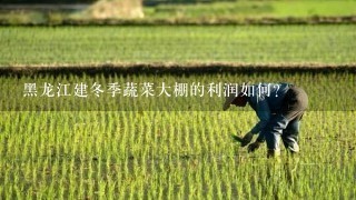 黑龙江建冬季蔬菜大棚的利润如何？