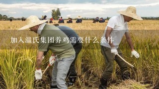 加入温氏集团养鸡需要什么条件