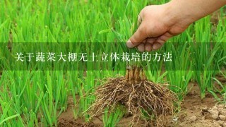 关于蔬菜大棚无土立体栽培的方法