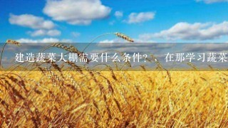 建造蔬菜大棚需要什么条件？，在那学习蔬菜种植的技术方便