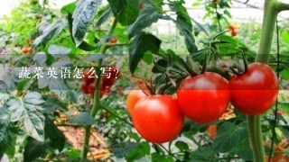 蔬菜英语怎么写？