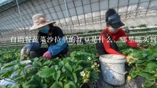 自助餐蔬菜沙拉里的红豆是什么，哪里能买到？