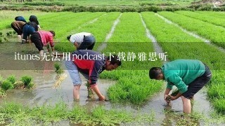 itunes无法用podcast下载静雅思听